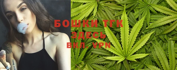 мдпв Липки