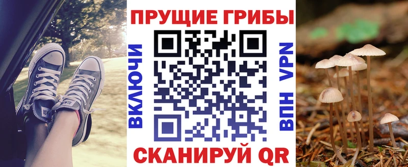 Псилоцибиновые грибы Psilocybe  купить наркоту  Павловская 